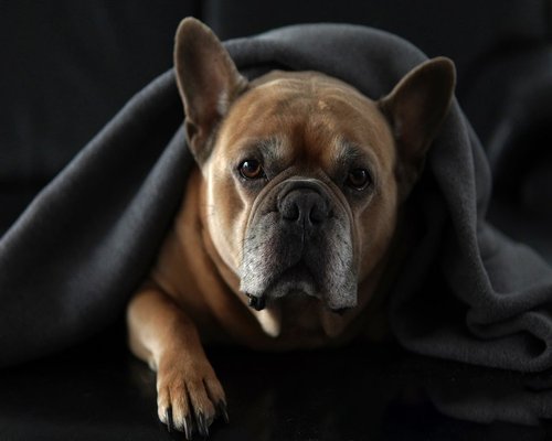 Dark aesthetic of someone resting calmly
